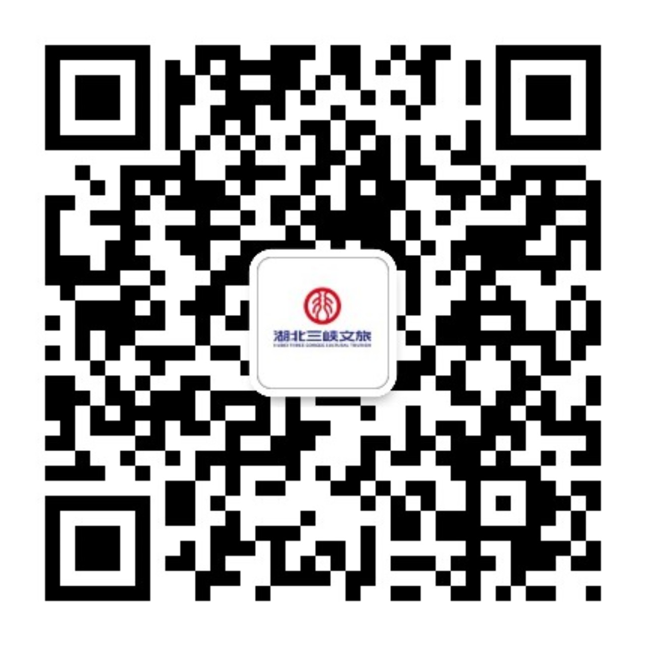 關注我們 關注我們